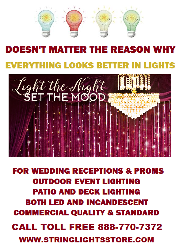 Come See All The New LED String Lighting at The String Lights Store