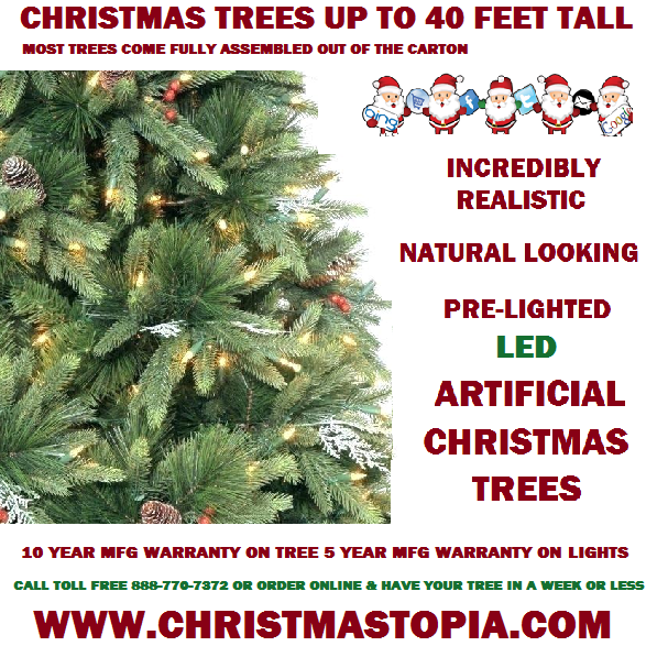 Lighted Christmas Trees Look So Real You Won't Be Able to Tell The Difference
