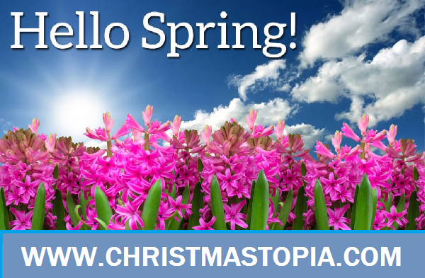 Finally! Spring has Sprung! Tons of New Spring Decorating Products